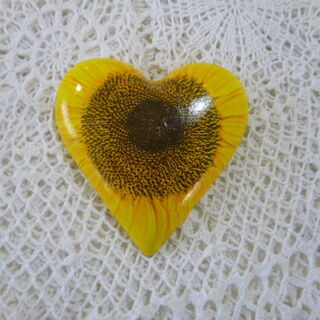 Sunflower Heart
