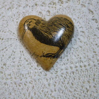 NZ Kiwi