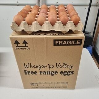 1 x Carton (six trays)  Mixed Grade Fresh Free Range Eggs - 30 Eggs per tray
