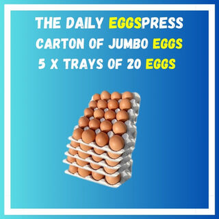 1 x Carton (five trays) Jumbo Fresh Free Range Eggs - 20 eggs per Tray