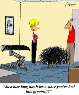 Dog needs grooming cartoon