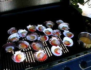 On the Grill -  Garlic, Butter & Scallops