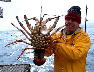 Steve with a Big Cray!