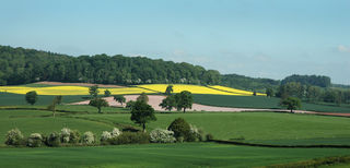 Shropshire fields