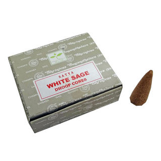 Incense Cone Satya White Sage 12pk IC005