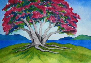 Pohutukawa