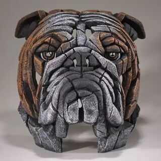 Edge Sculpture Bulldog Bust