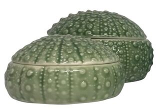 Kina Bowls Ceramic