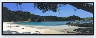 Reclining Whale Bay