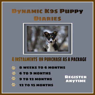 Dynamic K9s Puppy Diaries