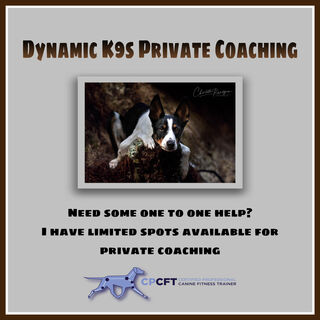 Dynamic K9s Private Online Coaching