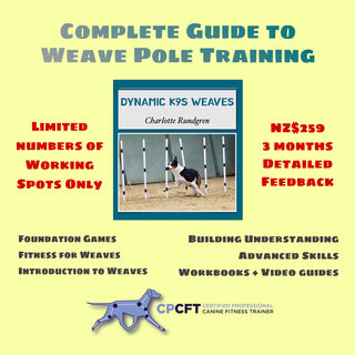 Dynamic K9s Complete Guide to Weave Pole Training