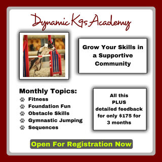 Dynamic K9s Academy - February, March and April 2023