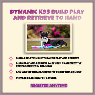 Dynamic K9s Build Play and Retrieve to Hand