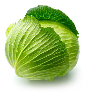 Example Cabbage