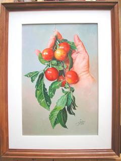 'Plums' by Zad Jabbour (SOLD)