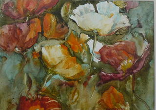 'Tall Poppy' by Jan Thomson (SOLD)