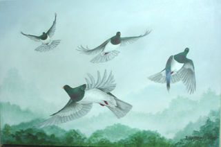'Dance of the Kereru' by Janet Marshall