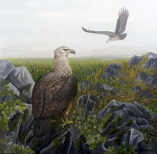 'This Too Has Passed - Haasts Eagle' by Janet Marshall