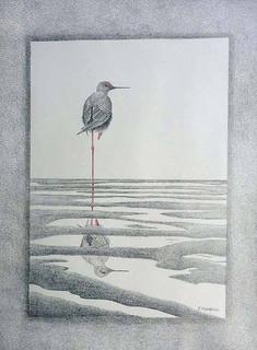 'Living on the Edge - Black Stilt' by Janet Marshall