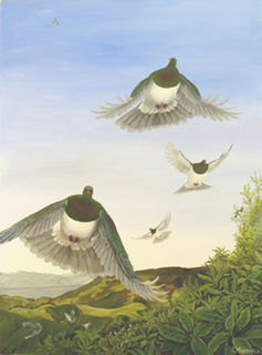 'Wings over Riwaka - Kereru' by Janet Marshall