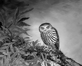 'Morepork' by Janet Marshall (SOLD)