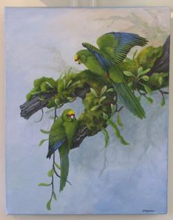 'Yellow Crested Kakariki' by Janet Marshall (SOLD)