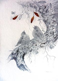 'Young Robins' by Janet Marshall