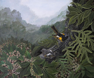 'Stitchbirds' by Janet Marshall