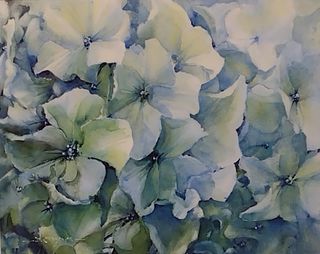 'Hydrangea Heads' by Dianne Taylor (SOLD)