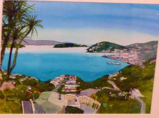 'A Wellington View' by Joy de Geus (SOLD)