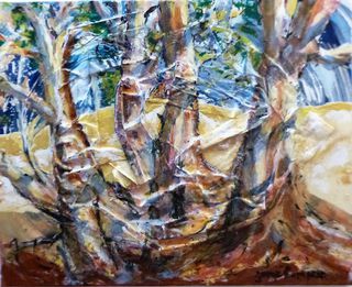 'Wind in the Gum Trees' by George Thompson