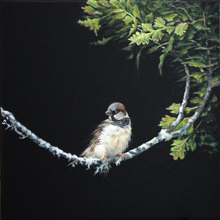 'On a Branch' by Gary Roberts (SOLD)