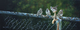 'On a Fence' by Gary Roberts (SOLD)