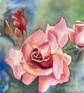 'An Old Fashioned Rose' by Charlotte Hird