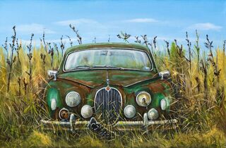 'Old Jag in the Grass' by Graham Young