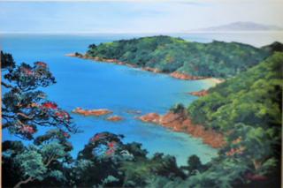 'Hekerua Bay Waiheke Island' by Graham Moeller (SOLD)