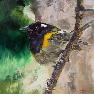 'Hihi Stitchbird' by Iwen Yong