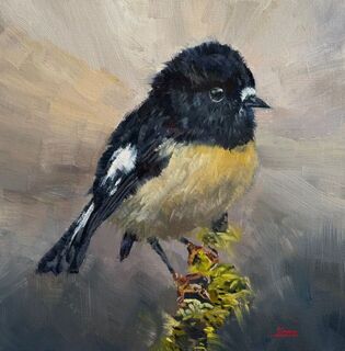 'Miromiro Tomtit' by Iwen Yong