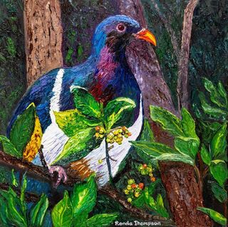 'Kerereu/Wood Pigeon' by Ronda Thomspon (SOLD)