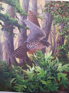 'Falcon' by Janet Marshall (SOLD)