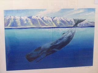 'Sperm Whale Kaikoura' by Alfred Memelink