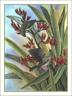 Bellbirds on Flax by Janet Marshall