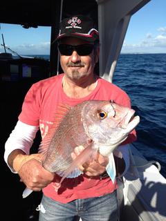 Snapper on the day trip