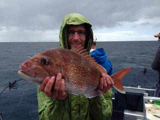 Snapper in Auckland