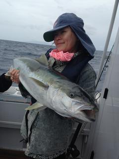 Hauraki Gulf Kingfish
