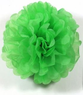 Puff Ball Green 35cm