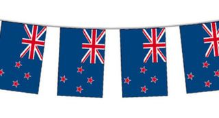 Flag - NZ Bunting 3M 10x21cm