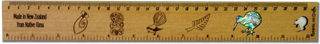 Ruler 30 cm - Paua Kiwi