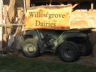 Rai Valley Dairy Signs